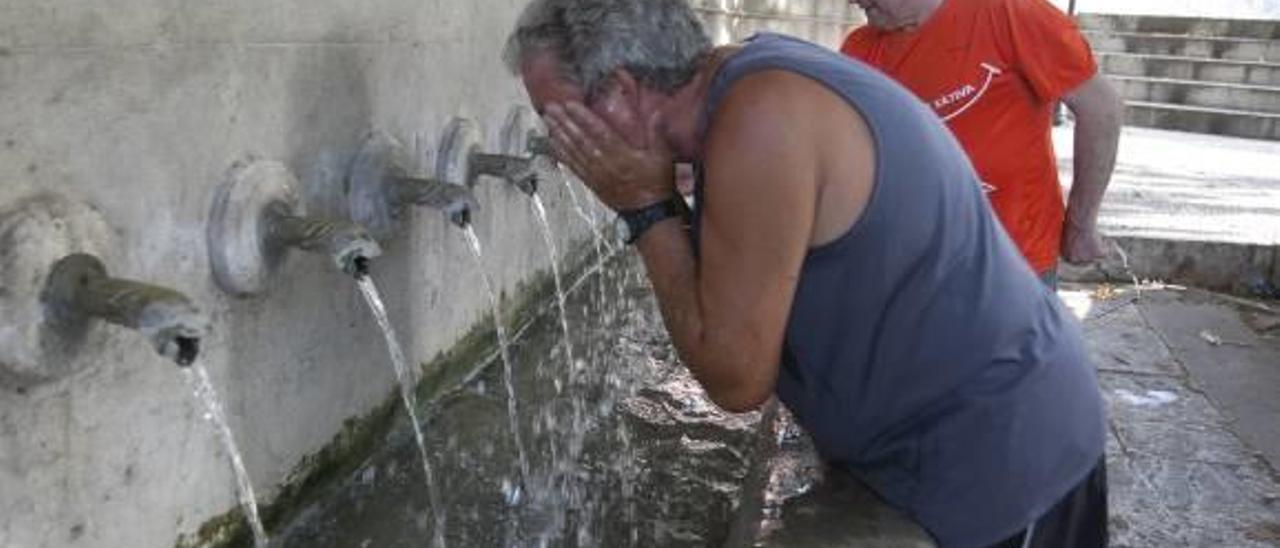 Los agricultores calculan el triple de pérdidas con la ola de calor extremo