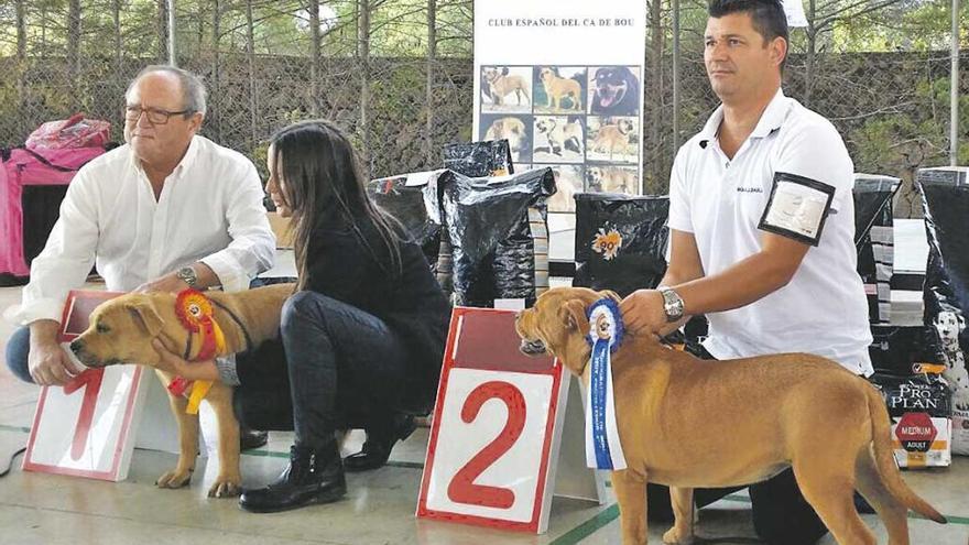 Imagen del concurso celebrado ayer en el campo de Fútbol.