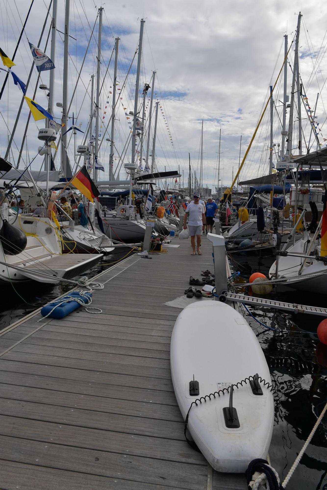 Participantes en la regata ARC, en el Muelle Deportivo de Las Palmas de Gran Canaria