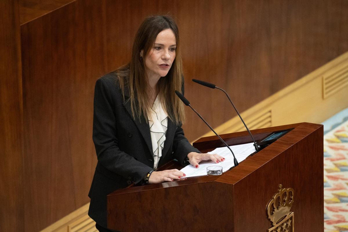 La portavoz de VOX en la Asamblea de Madrid, Isabel Pérez Moñino