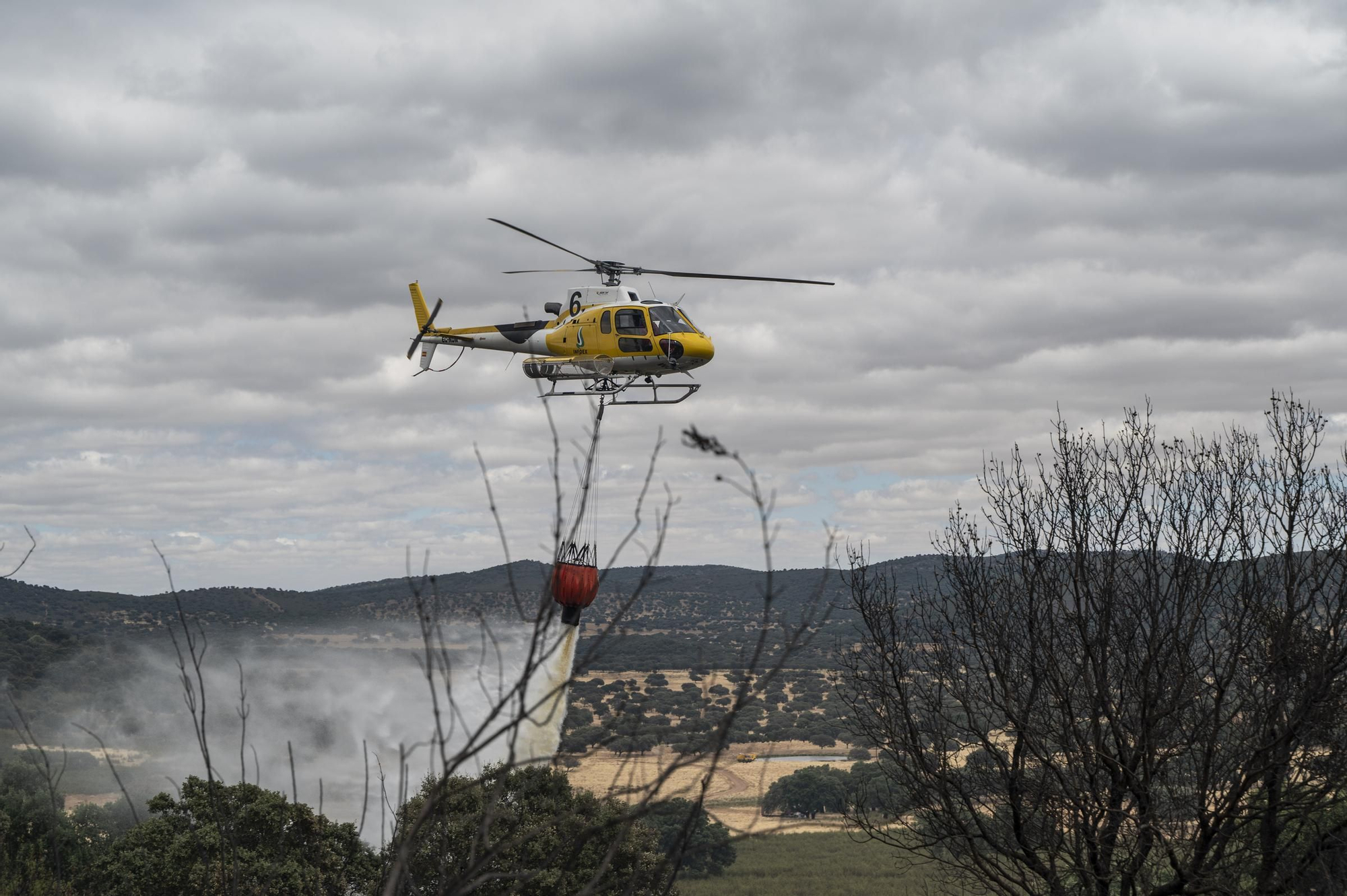 Las imágenes del incendio de este viernes en Cáceres