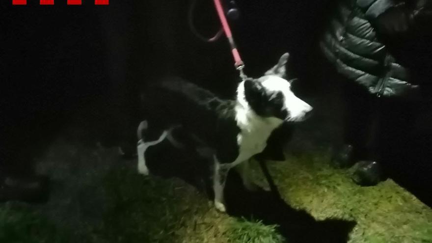 Els Bombers rescaten un gos d&#039;un pou a Peralada