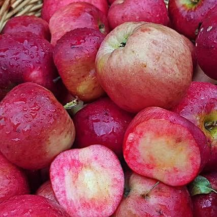 Detalle de les curioses frutes.