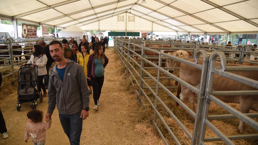 La Fira de Sant Isidre de Solsona aplega l&#039;angoixa dels ramaders pels estralls de la sequera