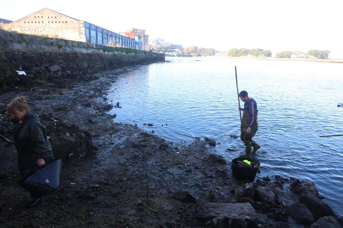 Los mariscadores a pie de la ría de O Burgo vuelven a faenar tras casi cuatro años de espera Los mariscadores a pie de la ría de O Burgo vuelven a faenar tras casi cuatro años de espera