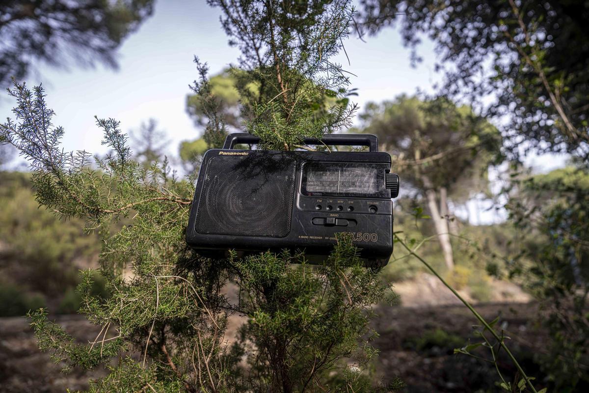 Así funciona una batida de caza en Girona: seguridad, convivencia y control del jabalí