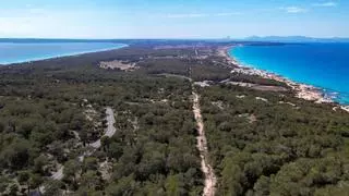 El 47% de las plazas turísticas que hay en Formentera son viviendas