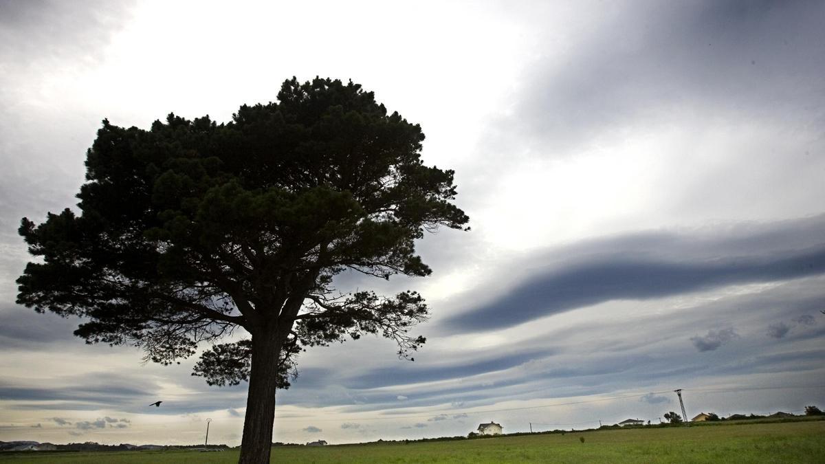 Paisaje de Coaña en su zona costera.