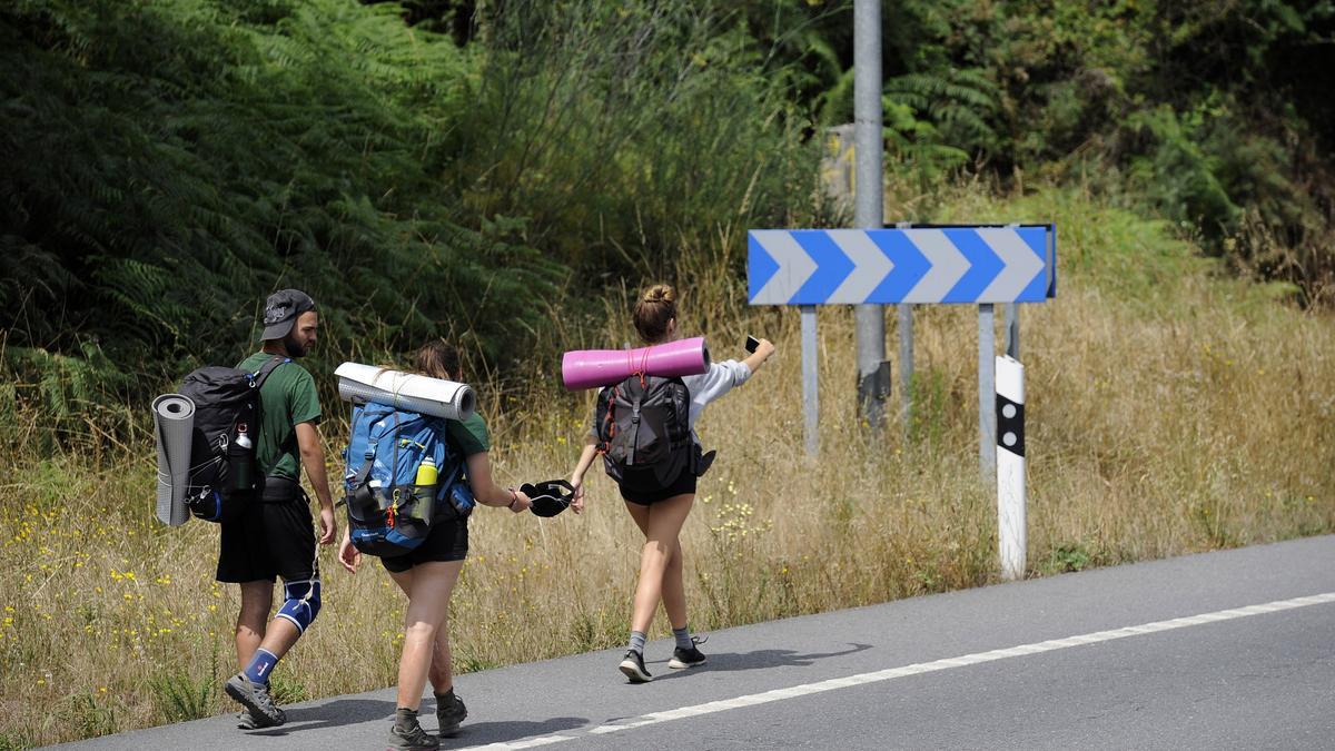 Varios peregrinos transitan por un tramo de la Vía de la Plata hacía Santiago de Compostela.