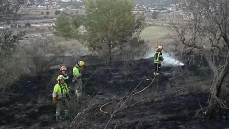 Bomberos y brigadas forestales sofocaron con rapidez las llamas.