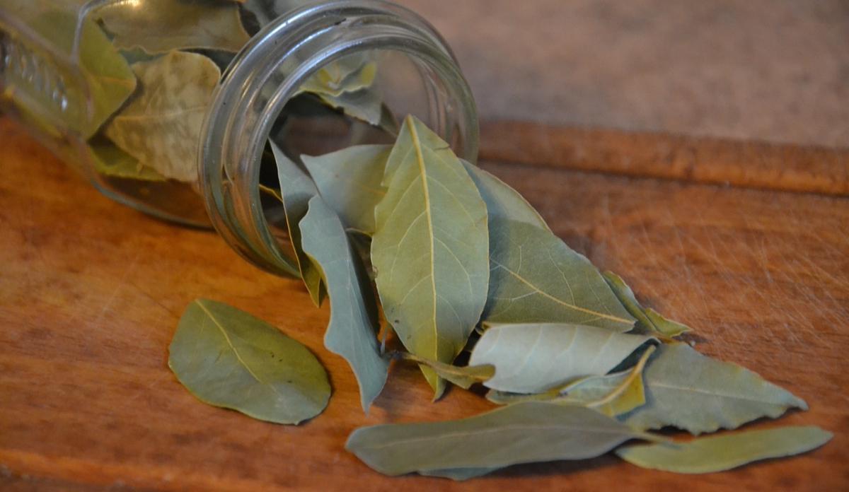 Las hojas de laurel son el remedio casero definitivo para muchos problemas hogar