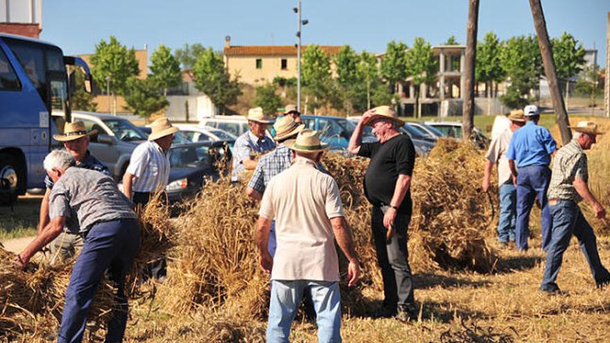 Tercera festa del segar a Llagostera