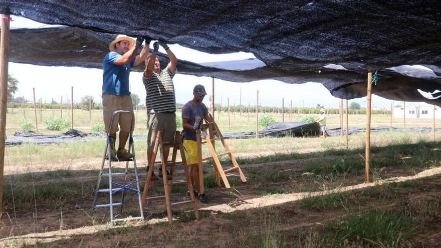 Arenal Sound acelera el montaje de los espacios de acampada