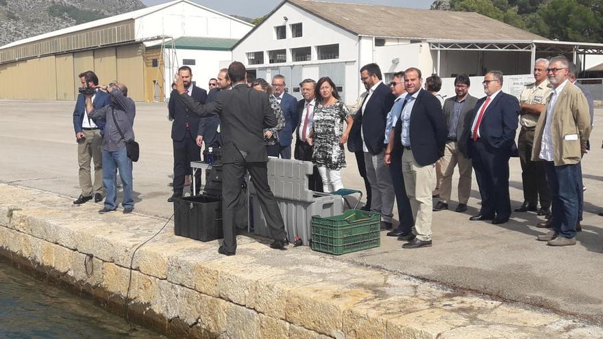 Las autoridades asisten a una explicación de la metodología empleada para realizar las plantaciones marinas, hoy en Pollença.