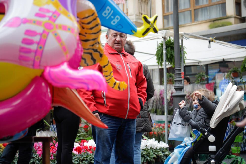 Regnerische Eindrücke von Mallorcas größtem Herbstmarkt