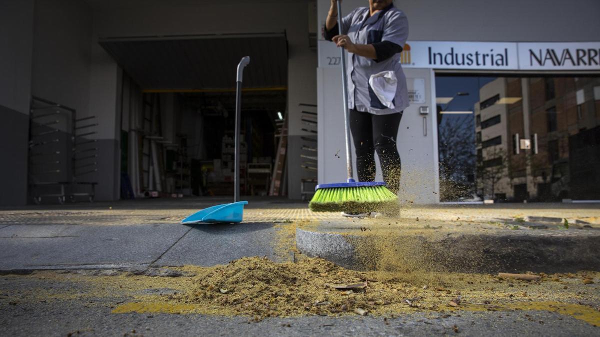 Polen de platanero en una calle de Barcelona.