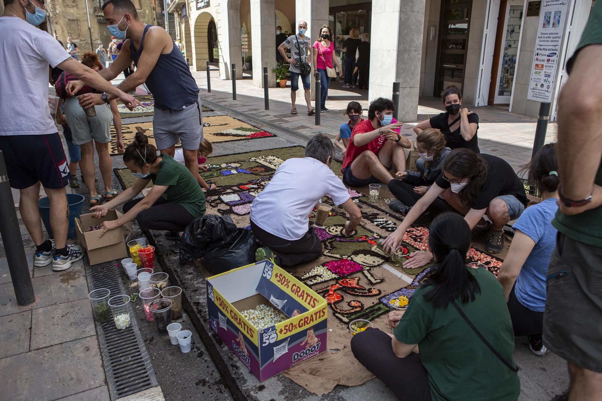 Mostra de Catifes de Flors d'Arbúcies