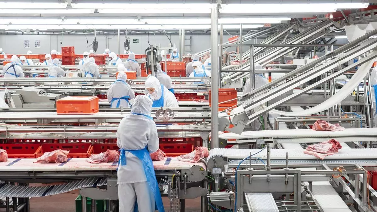 Vall Companys tendrá que pagar 11 millones por 675 falsos autónomos en el matadero de Ejea de los Caballeros