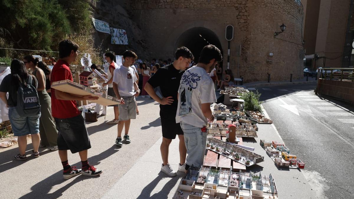 Los estudiantes de Arquitectura de la Universidad de Alicante han expuesto sus proyectos para mejorar la Albufereta