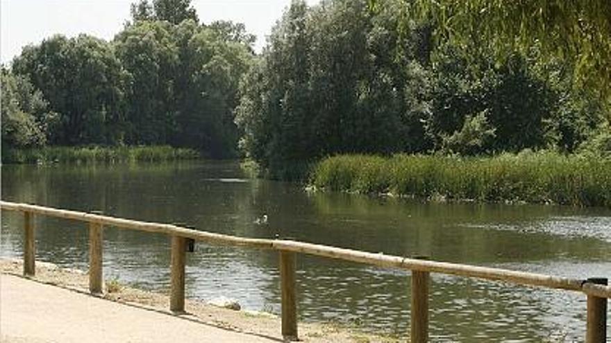 El riu Ter no porta l&#039;aigua que estableix el Pla de Cabals de Manteniment per al Baix Ter.