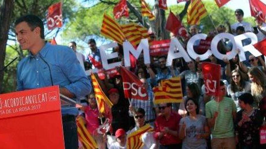 Pedro Sánchez, secretari general del PSOE, ahir a la Festa de la Rosa de Gavà