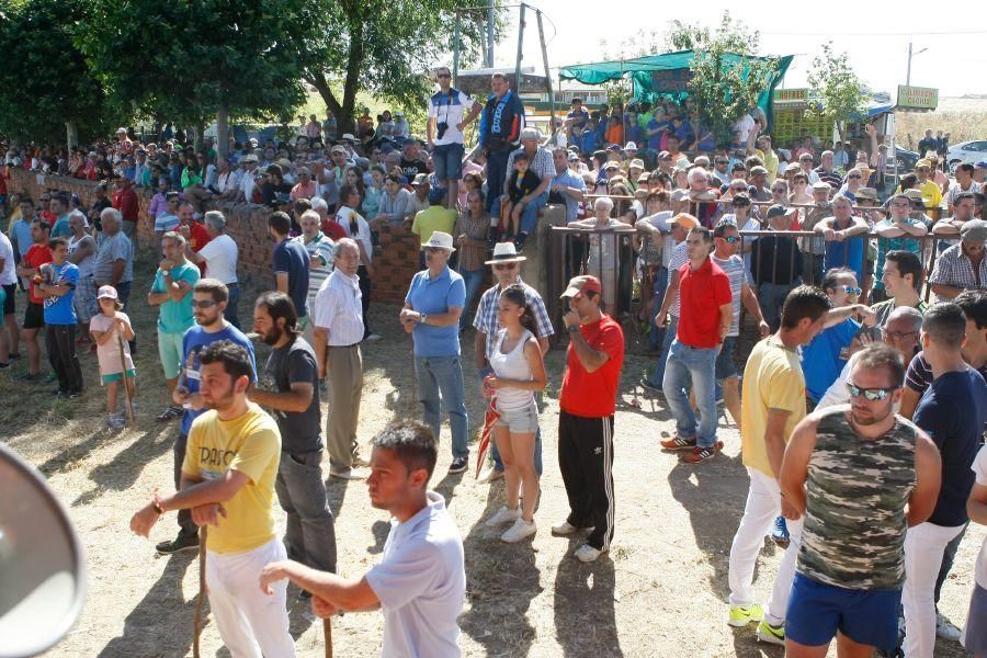 Fiestas en Zamora: Segudos espantes de Fuentesaúco