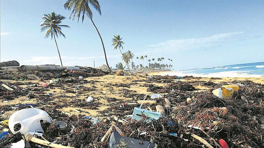 L’Oceanogràfic lluita al Regne Unit contra els plàstics a l’oceà