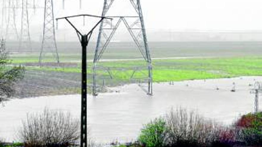 El río Tiétar causa daños a los agricultores y anega parcelas