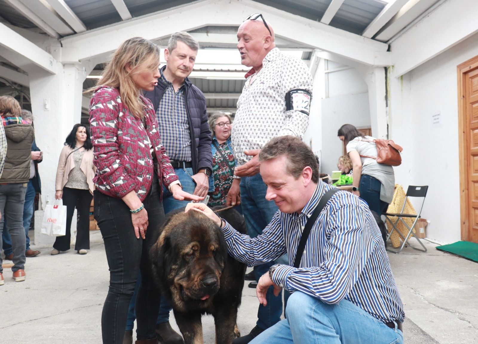 Éxito de público y animales en la 28ª Feria del Perro de Tineo