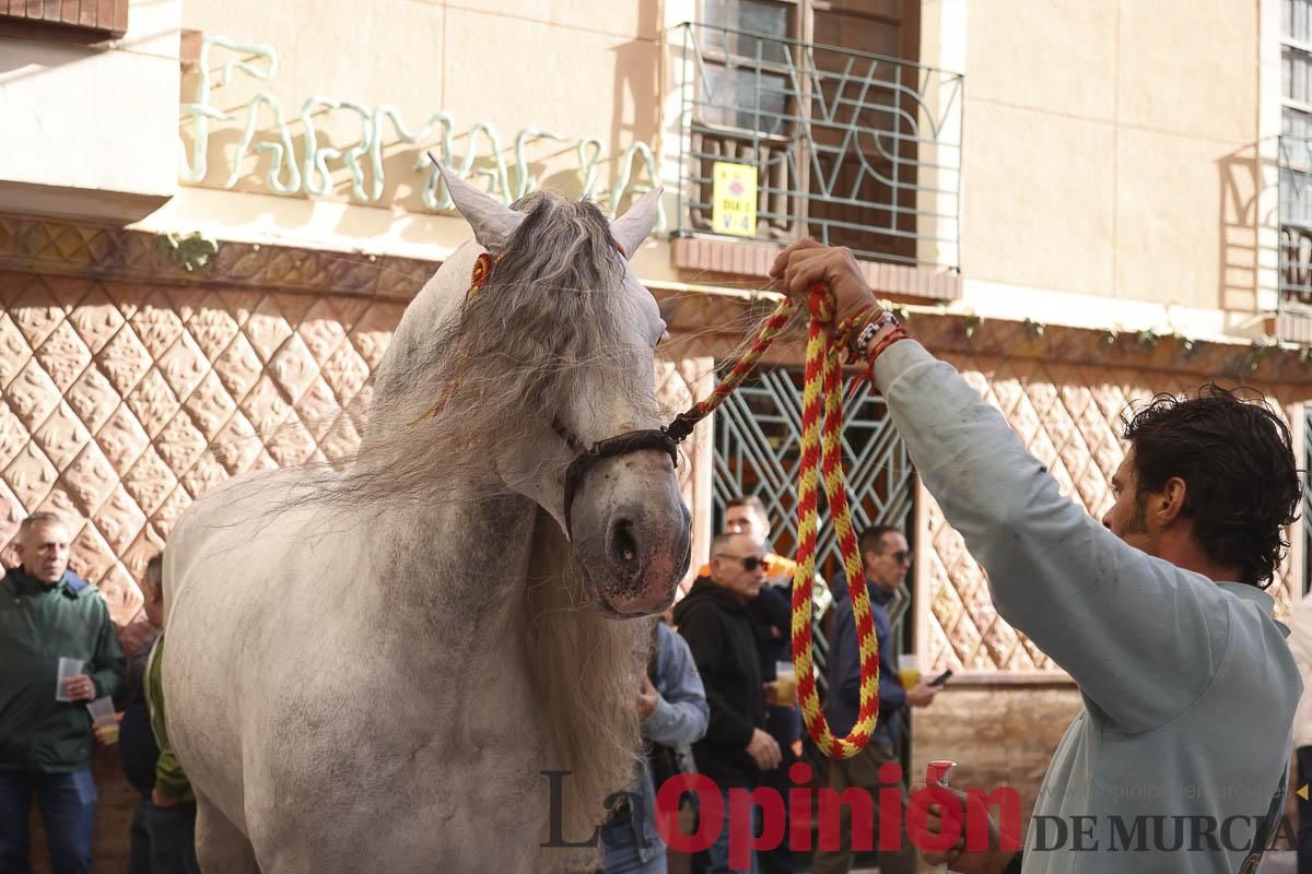 Concurso de caballo a pelo: pasacalles hasta el Hoyo en Caravaca