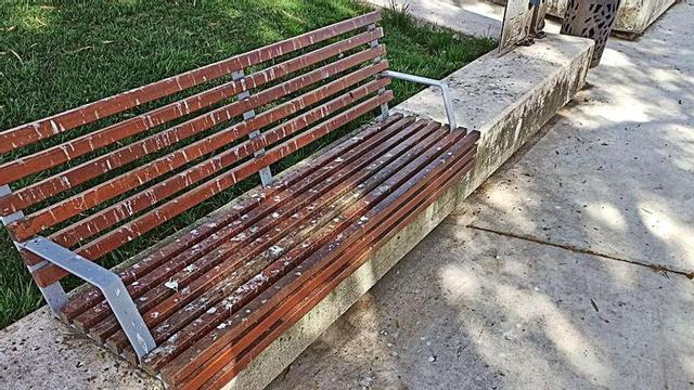 Un parque del ámbito rural asediado por la hierba y la maleza y un banco de la alameda lleno de excrementos.