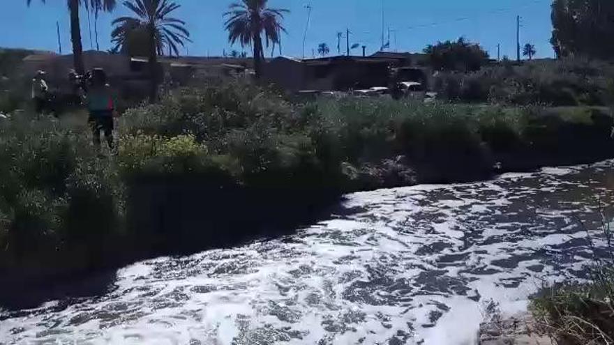 Veinte voluntarios limpian el cauce del río en el puente de Barrachina