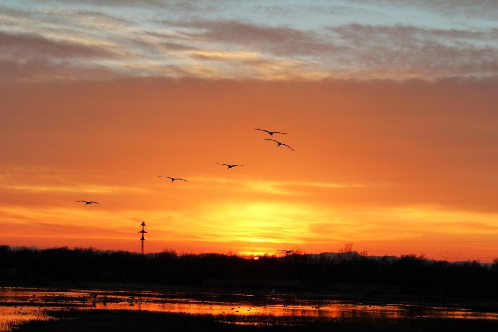 Posta de sol als Aiguamolls de l''Empordà