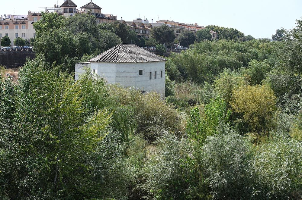 El Guadalquivir, un río frondoso a su paso por Córdoba