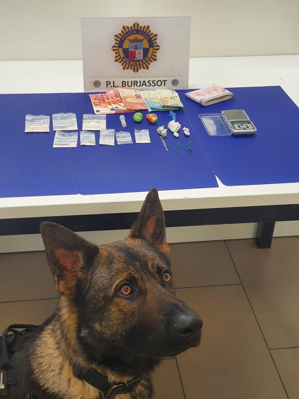 Kaplan, junto a la droga y el dinero intyervenidos al taxista en Burjassot gracias a su olfato.