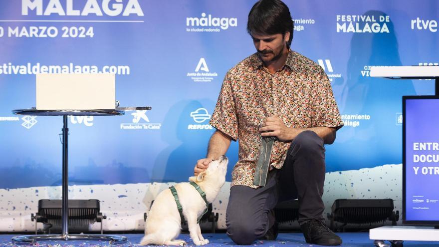 Emilio Fonseca, o director galego que triunfa en Málaga cun documental sobre o lobo e recolle o premio coa súa cadeliña