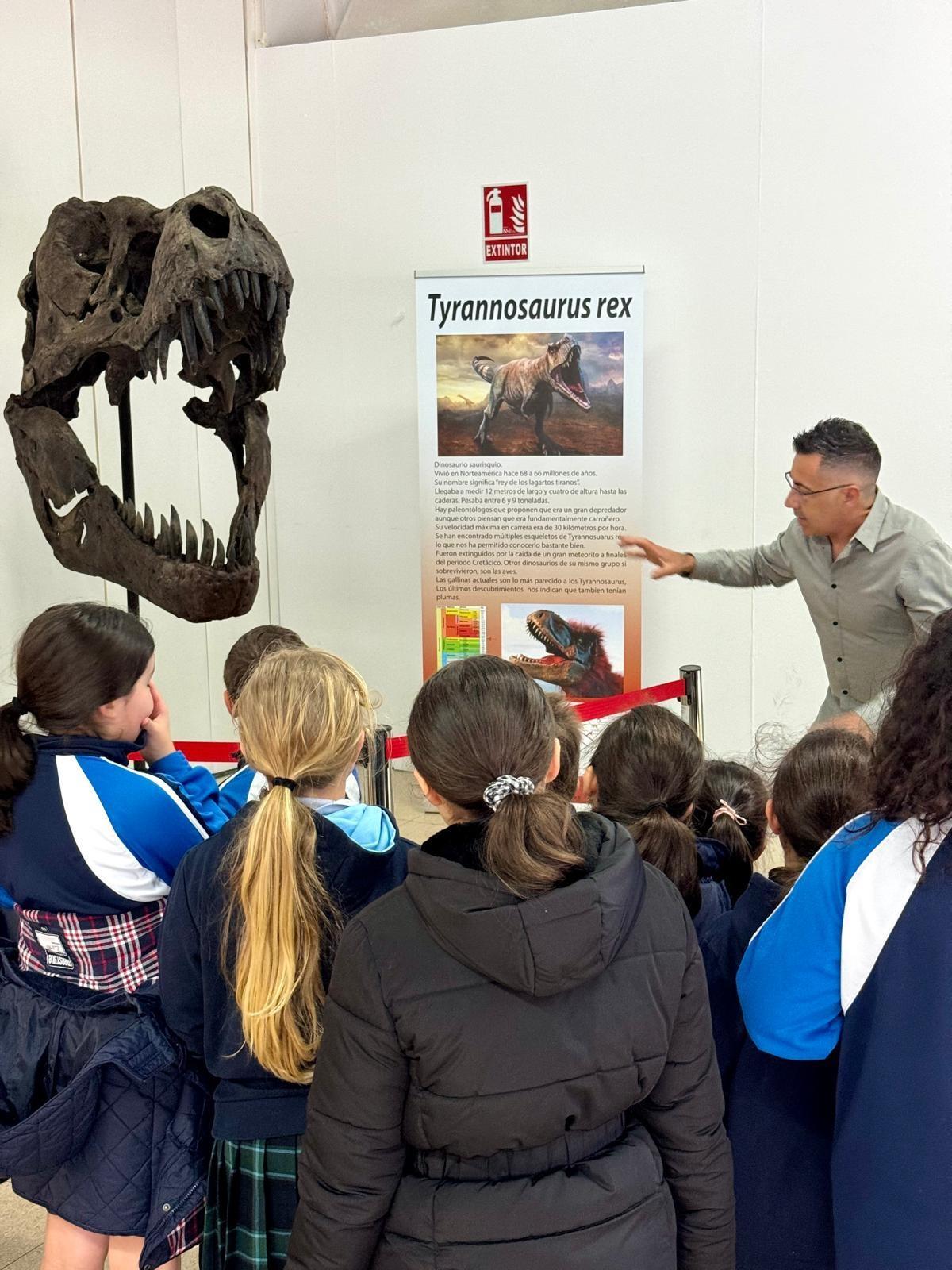Réplica de un Tyrannosaurus Rex en Minervigo.