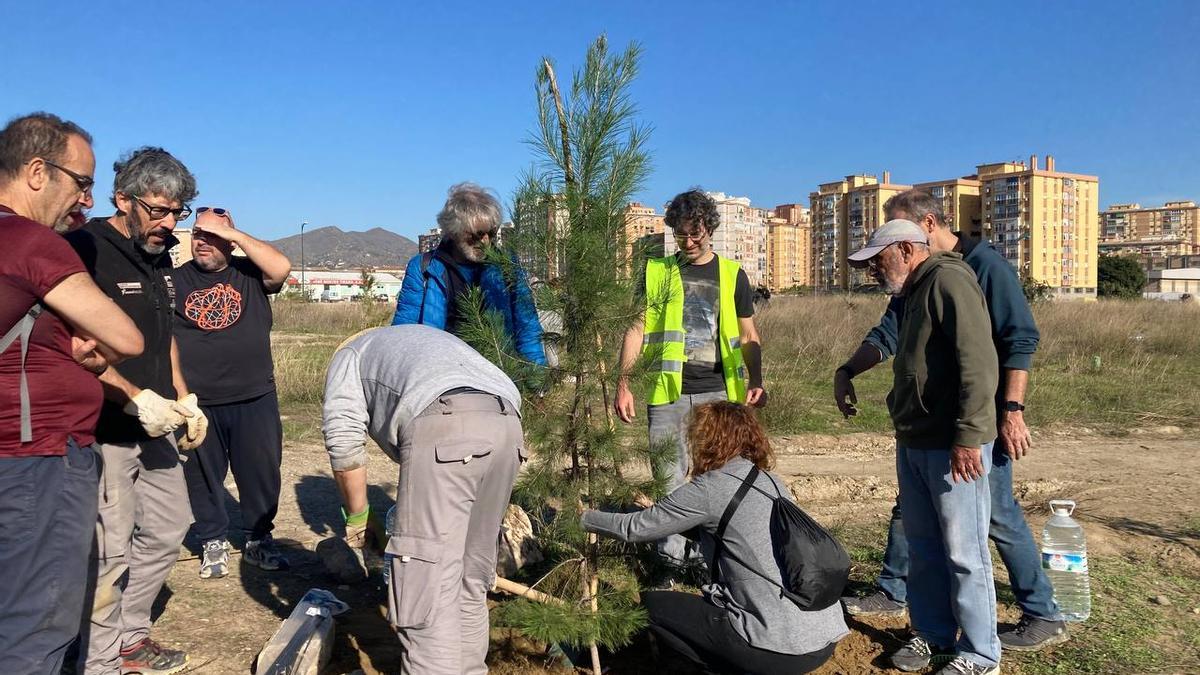Bosque Urbano planta otros 30 árboles en los antiguos terrenos de Repsol