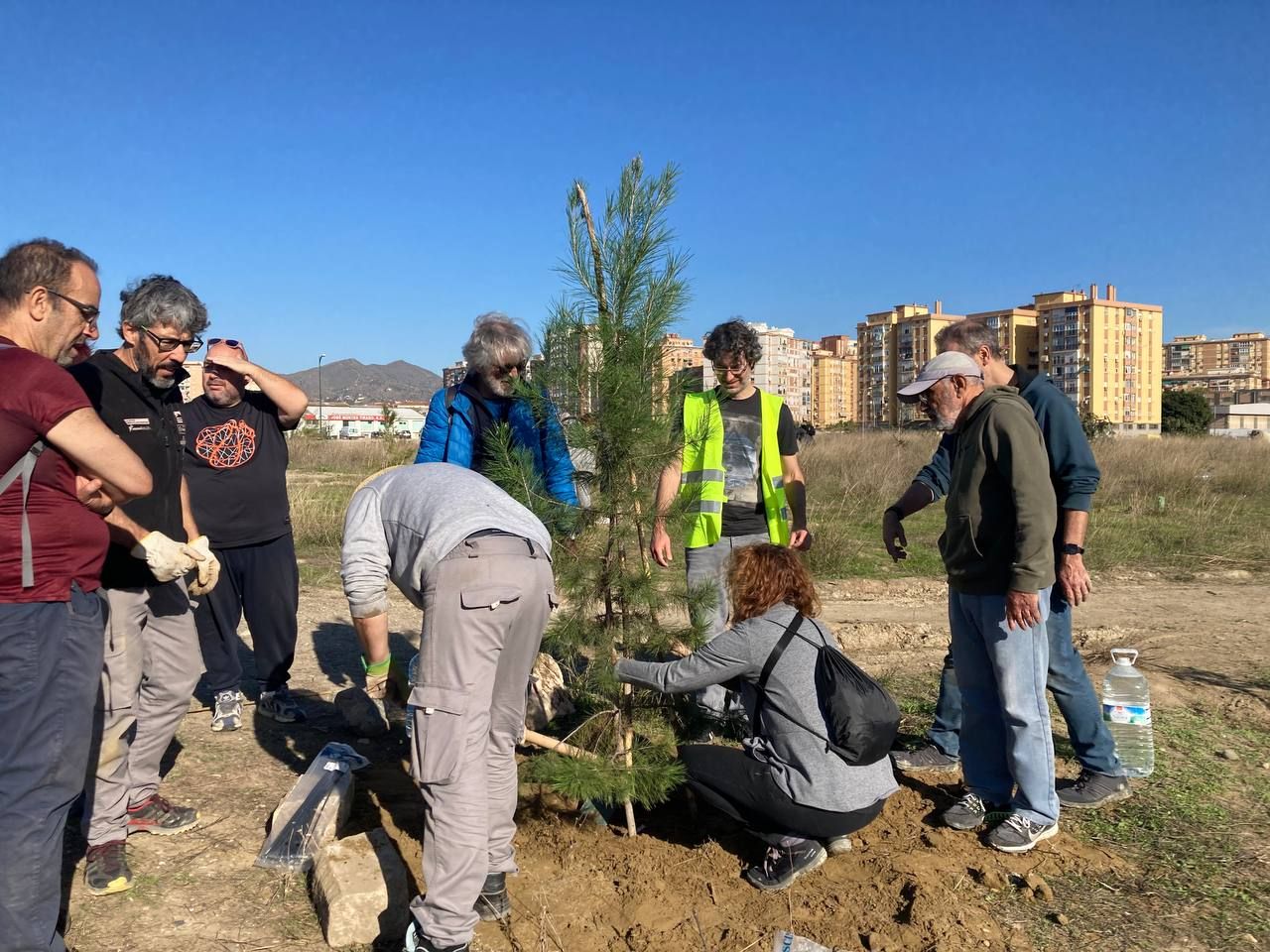 Bosque Urbano planta otros 30 árboles en los antiguos terrenos de Repsol