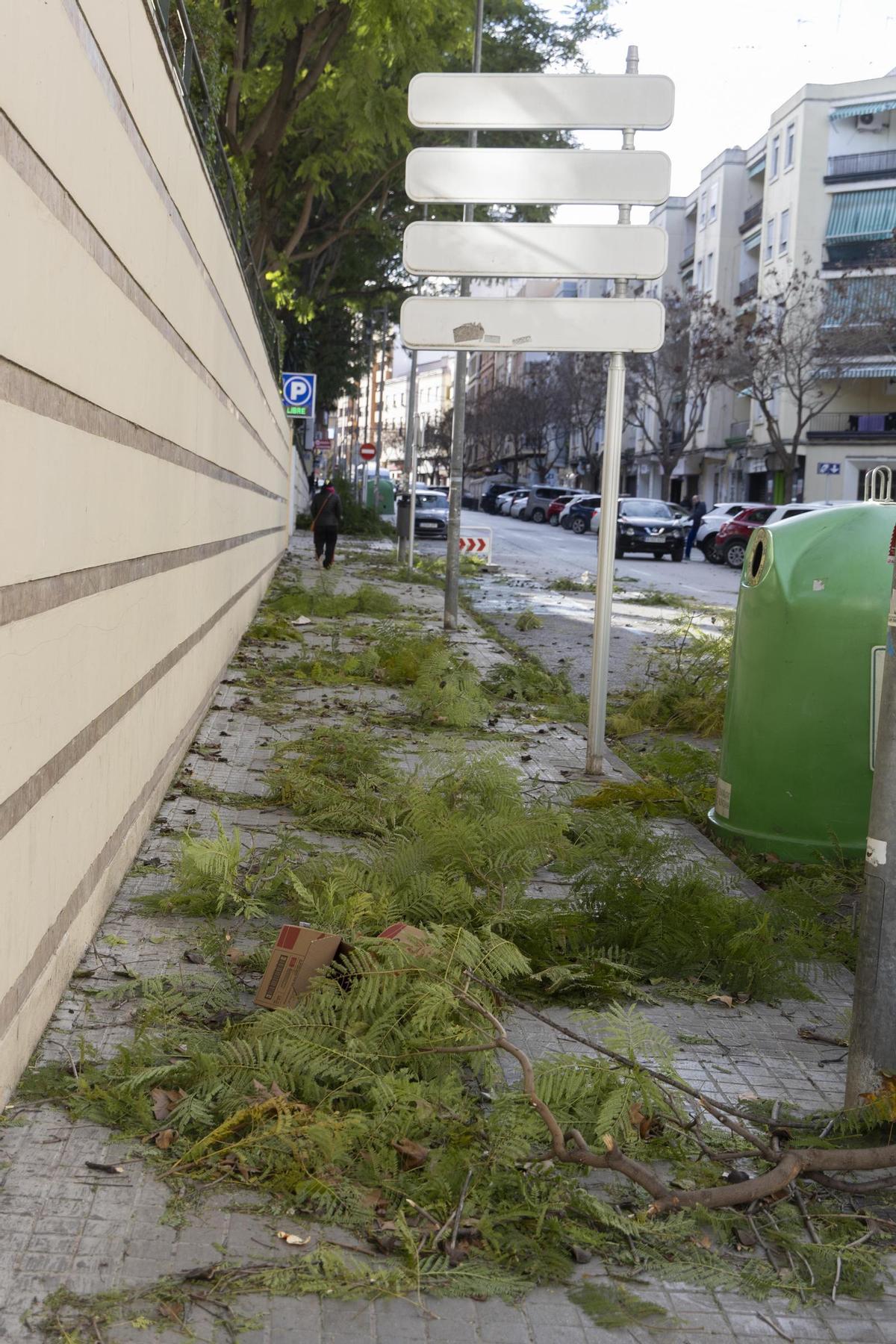 El temporal asociado a la borrasca Kristin ha dejado imágenes de impacto en Xàtiva, las rachas de viento han alcanzado niveles huracanados