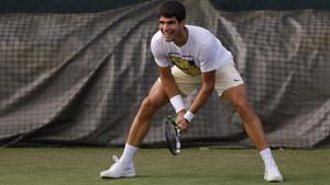 Alcaraz a Wimbledon: a l’assalt del regne de Djokovic