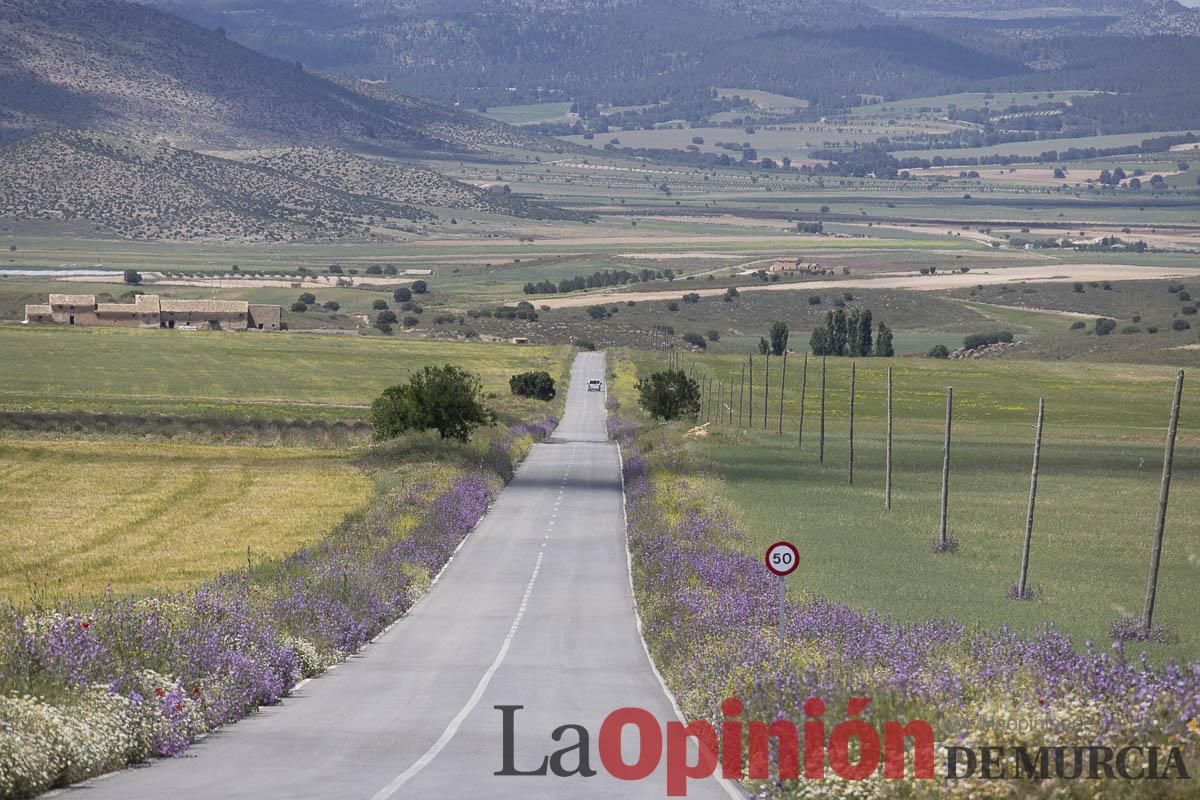 Romería de San Isidro en los Poyos de Celda de Caravaca