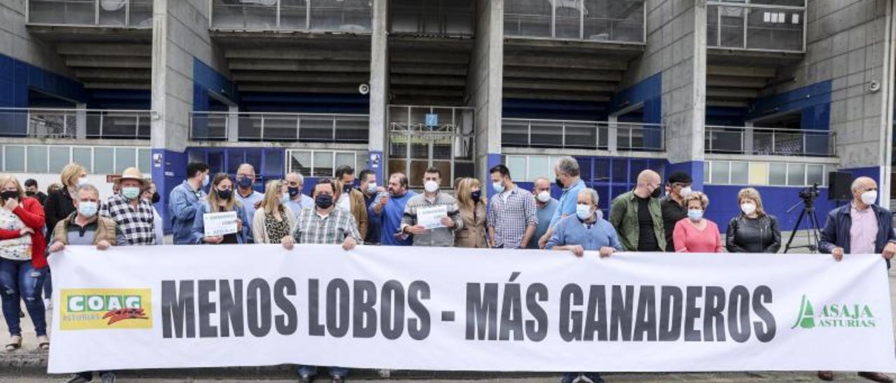 Los ganaderos, ante el Tartiere, en Oviedo, al finalizar la protesta. | Irma Collín