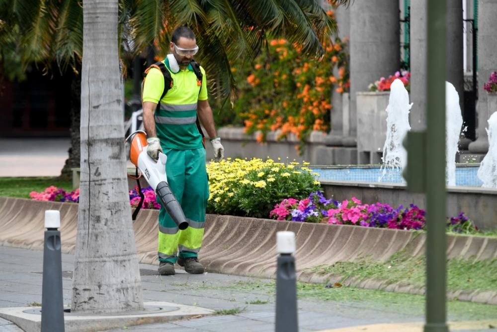 Personal de Parques y Jardines capitalino