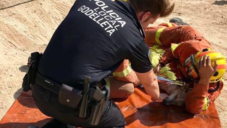 Rescatan un perro que se ahogaba tras caer en una balsa en Godelleta