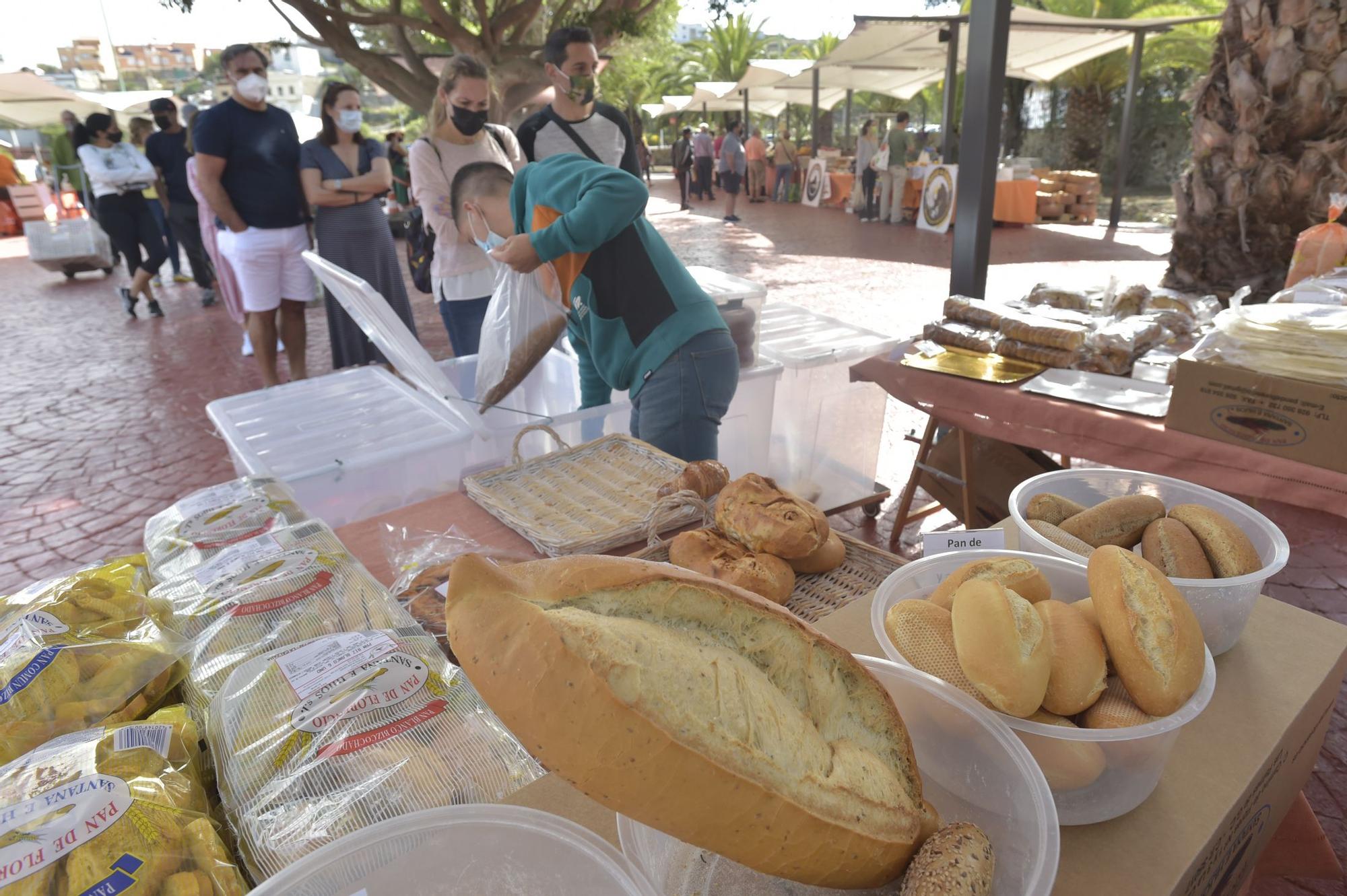 Reapertura del Mercado Agrícola de San Lorenzo (18/04/2021)