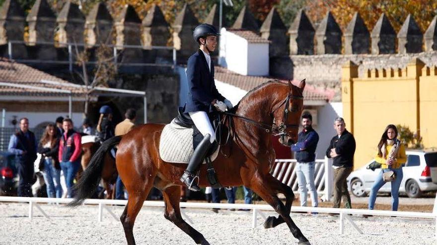 Córdoba Ecuestre celebra este sábado la novena Copa de Navidad