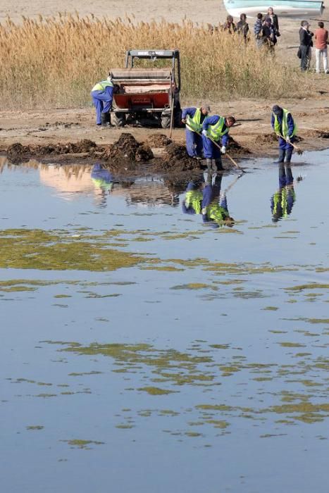 Así trabaja la brigada de limpieza en el Mar Menor