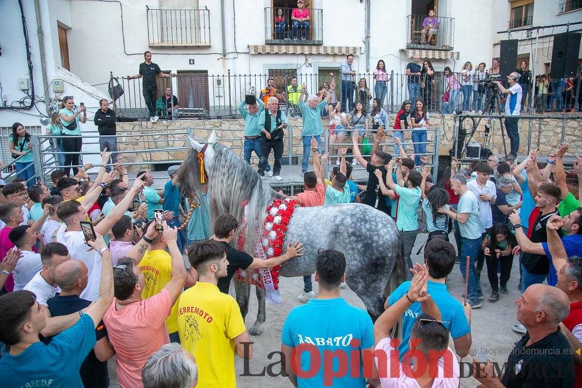 Entrega de premios del concurso morfológico de los Caballos del Vino de Caravaca