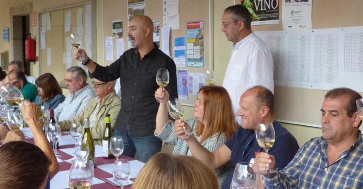 El vino de Cangas, cantidad y calidad